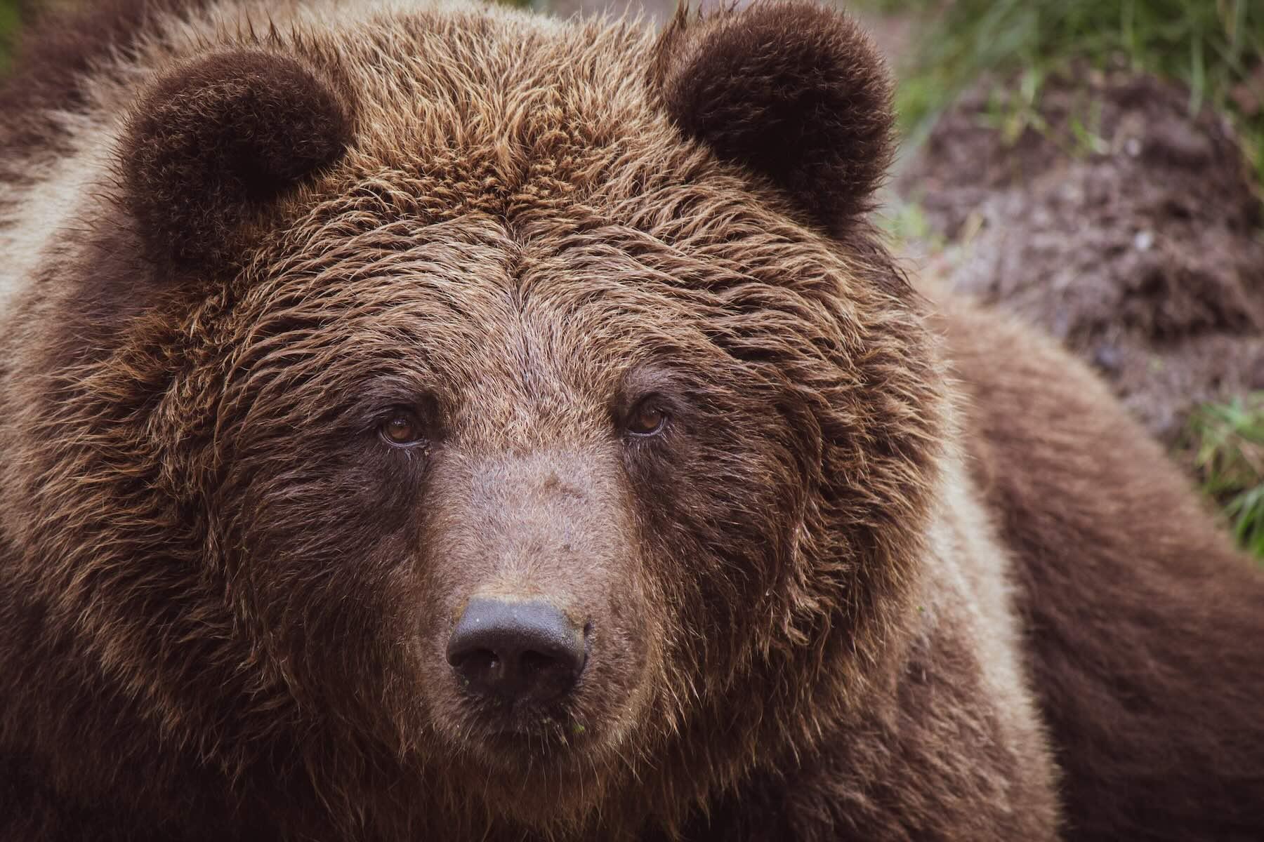 Is the Crypto Bear Market Over? image